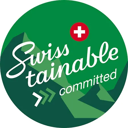 Renove A Cote Des Pistes Saas Fee