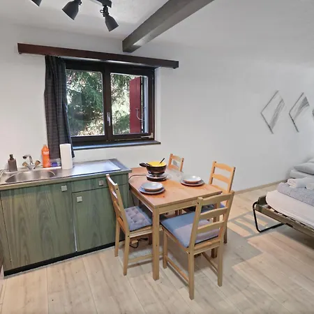 Renove A Cote Des Pistes סאס פה