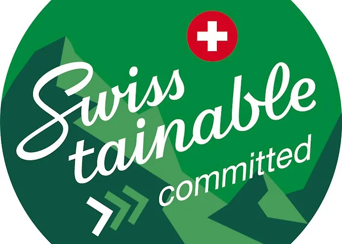 Renove A Cote Des Pistes Saas Fee