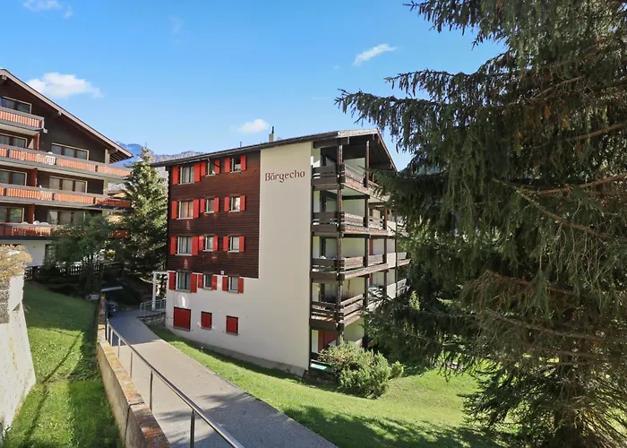 Renove A Cote Des Pistes Daire
