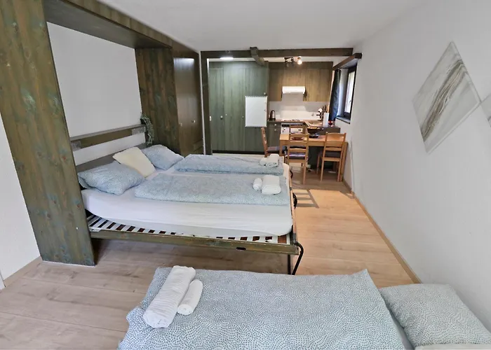 Renove A Cote Des Pistes Daire *